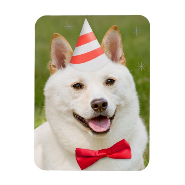 Magnet Flexible Joyeux Anniversaire N'Importe Qui Shiba Inu Chien  (Vertical)