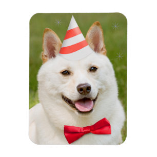 Magnet Flexible Joyeux Anniversaire N'Importe Qui Shiba Inu Dog Da
