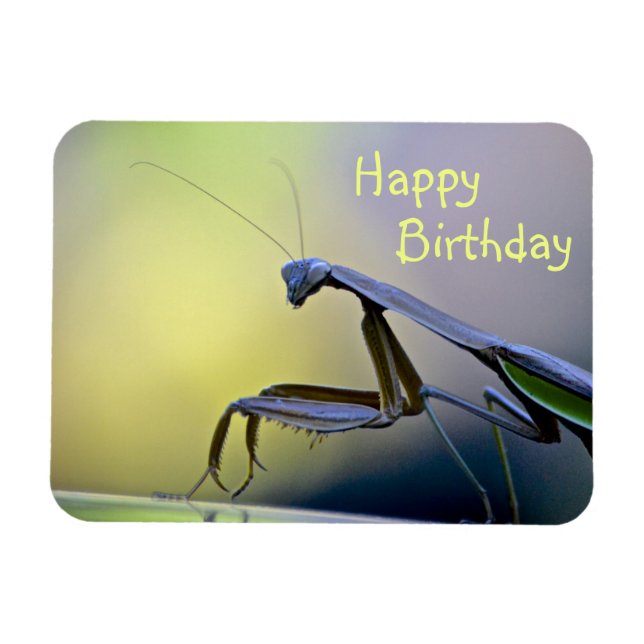Magnet Flexible Joyeux Anniversaire priant Mantis (Horizontal)