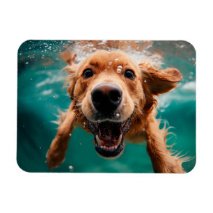 Magnet Flexible Joyeux Golden Retriever nager sous l'eau