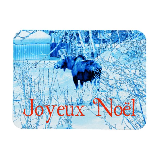 Magnet Flexible Joyeux Noё l - Oie urbaine (Horizontal)
