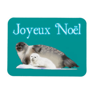 Magnet Flexible Joyeux Noё l - Sceau annelé