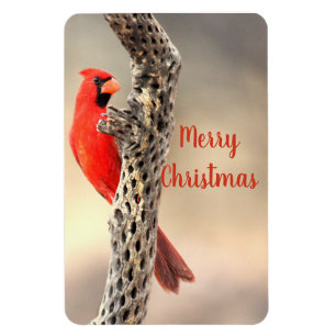 Magnet Flexible Joyeux Noël Cardinal du Nord