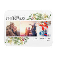 Joyeux Noël Or hiver Botanique Photo Vacances