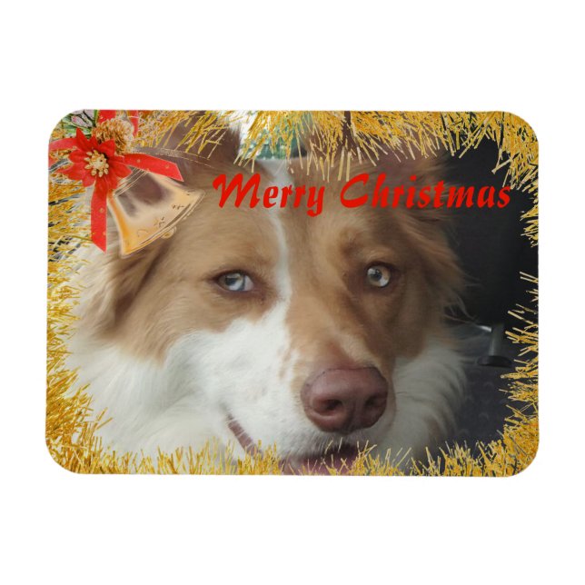 Magnet Flexible Joyeux Noël Pet Photo (Horizontal)
