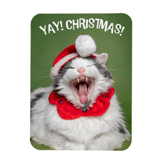Magnet Flexible Joyeux Noël pour tous Happy Chat en Casquette (Vertical)
