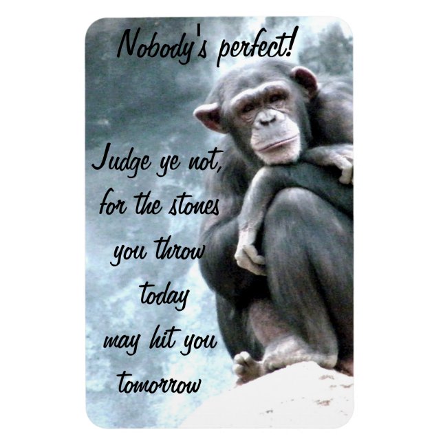 Magnet Flexible Juge Non ! (Vertical)