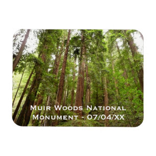 Magnet Flexible Jusqu'aux séquoias I à Muir Woods National Monumen