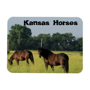 Magnet Flexible Kansas Chevaux dans un pâturage