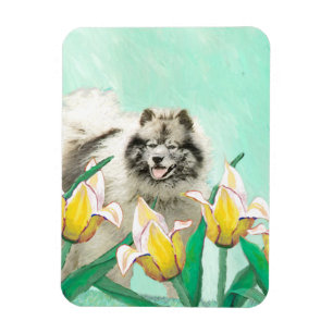 Magnet Flexible Keeshony in Tulips Peinture mignonne Original Chie