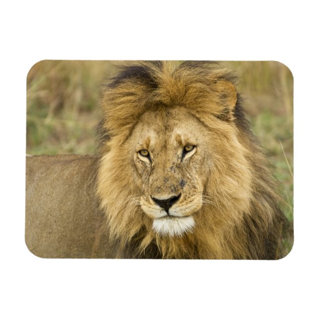 Magnet Flexible Kenya Masai Mara (Horizontal)
