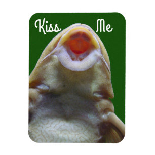 Magnet Flexible Kiss Me Fish