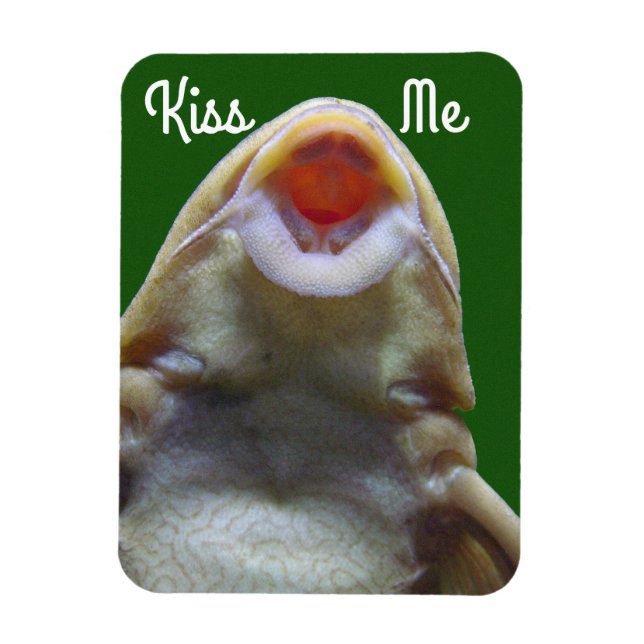 Magnet Flexible Kiss Me Fish (Vertical)