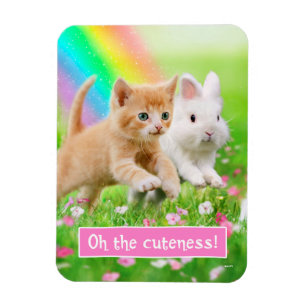 Magnet Flexible Kitten & Bunny avec arc-en-ciel