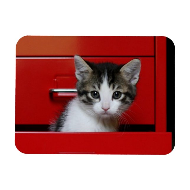 Magnet Flexible Kitten Peeking (Horizontal)