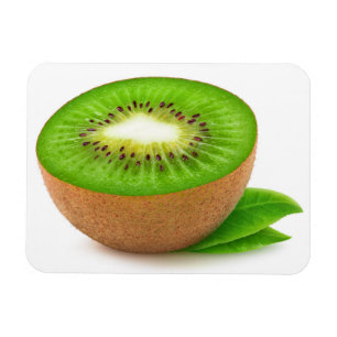 Magnet Flexible Kiwi
