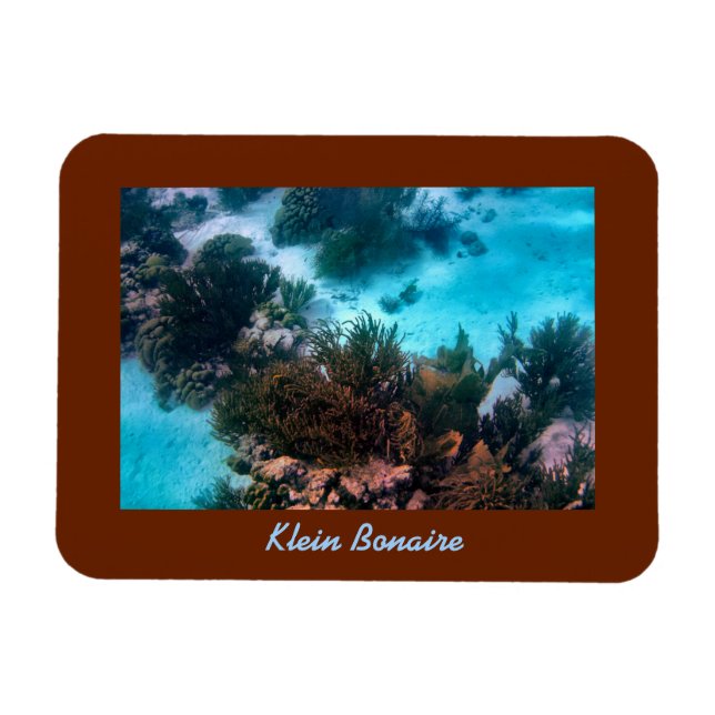 Magnet Flexible Klein Bonaire Reef (Horizontal)