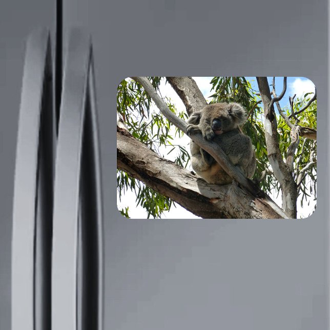 Magnet Flexible Koala - Dormir (Créateur téléchargé)