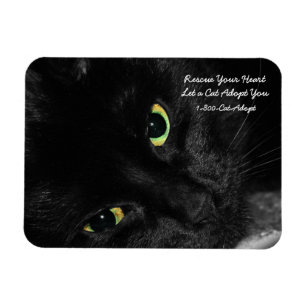 Magnet Flexible La délivrance d'adoption d'animal familier votre