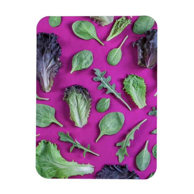 Magnet Flexible La laitue vert sur le pourpre (Vertical)