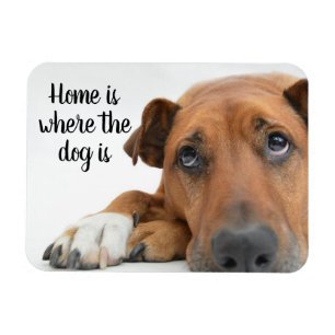 Magnet Flexible La Maison Est Là Où Le Chien Est