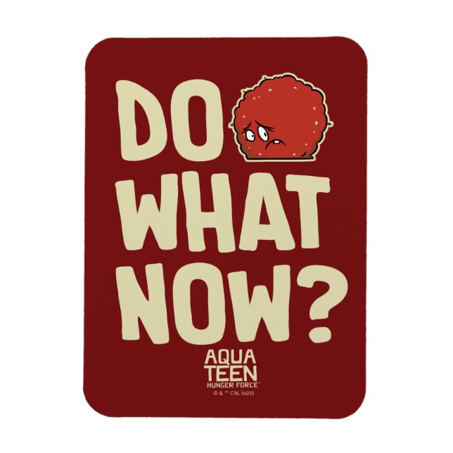 Magnet Flexible La Meatwad, Force De La Faim De L'Ado Aqua "Faites (Vertical)