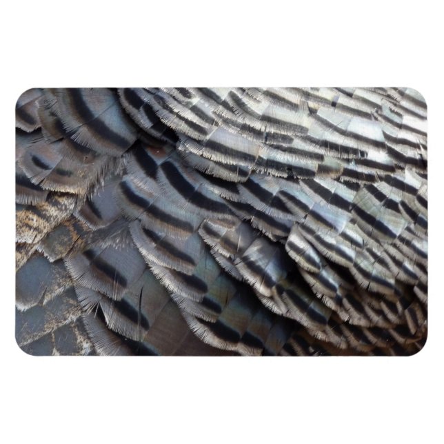 Magnet Flexible La Turquie sauvage plumes II Design Abstrait de la (Horizontal)