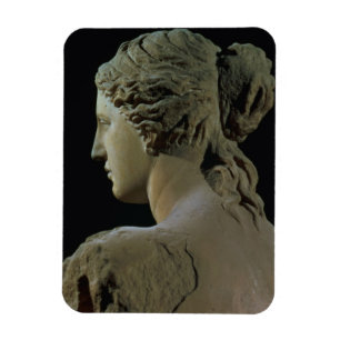 Magnet Flexible La Vénus de Milo, détail du dos de la tête, Hel