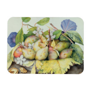 Magnet Flexible La vie toujours avec des prunes, des noix et le