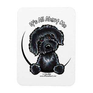 Magnet Flexible Labradodle noir IAAM