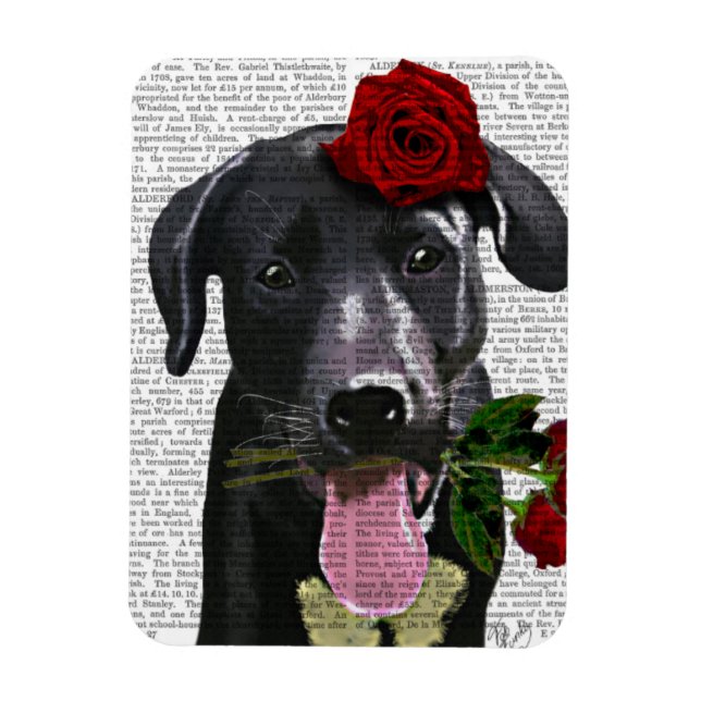Magnet Flexible Labrador noir avec Rose (Vertical)