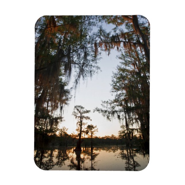 Magnet Flexible Lac Caddo au lever du soleil (Vertical)