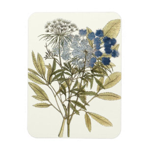 Magnet Flexible Lacy Feuilles - Fleurs et verdure