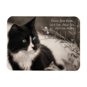 Magnet Flexible L'Adoption Des Animaux Secourt Votre Coeur Et Adop