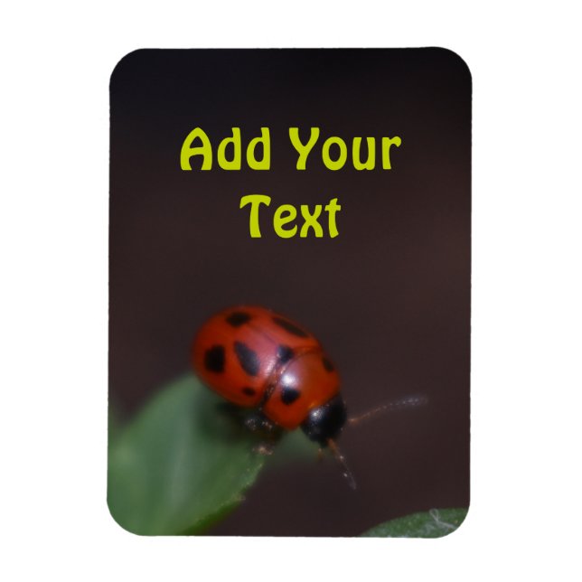 Magnet Flexible Ladybug (Vertical)