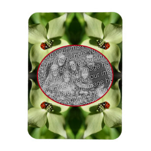 Magnet Flexible Ladybug On Dogwood Flower Frame Ajouter Votre Phot