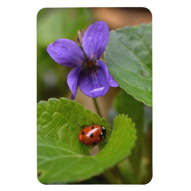 Magnet Flexible Ladybug sur les fleurs de violet doux (Vertical)