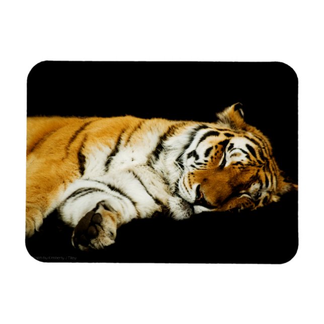 Magnet Flexible L'aimant Premium Amur dormant (Horizontal)