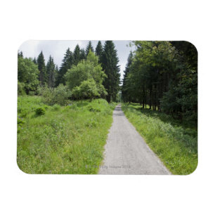 Magnet Flexible L'Allemagne, Thuringe, chemin dans la forêt