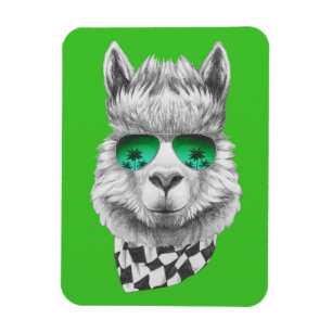 Magnet Flexible Lama de la Californie