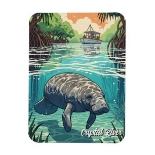 Magnet Flexible Lamantin dans Crystal River Floride