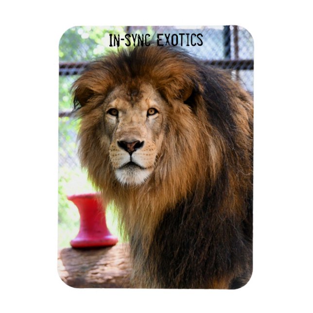 Magnet Flexible Lamber - (Vertical)