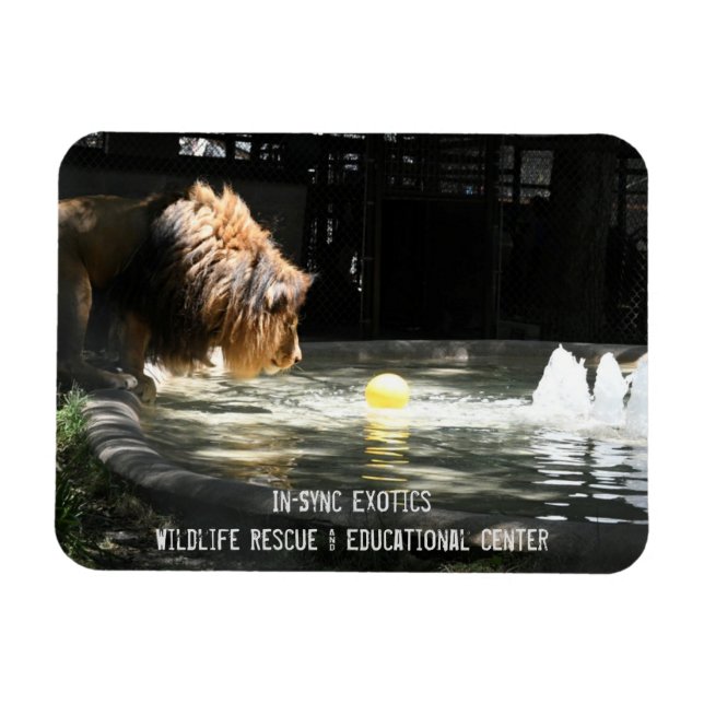 Magnet Flexible Lambert - Aimant photo flexible (Horizontal)