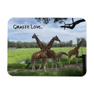 Magnet Flexible L'amour de la girafe...l'aimant