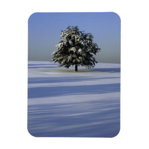 Magnet Flexible L'arbre dans la neige a couvert le paysage