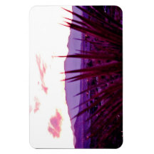 Las Vegas Skyline Résidentiel Mountain View #1