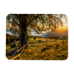 Magnet Flexible L'aube triste dans une forêt