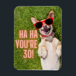 Magnet Flexible Laughing Dog 30th Birthday<br><div class="desc">Fun milestone birthday magnet features photo of laughing Corgi dog with sunglasses and "Ha Ha You're 30"</div>