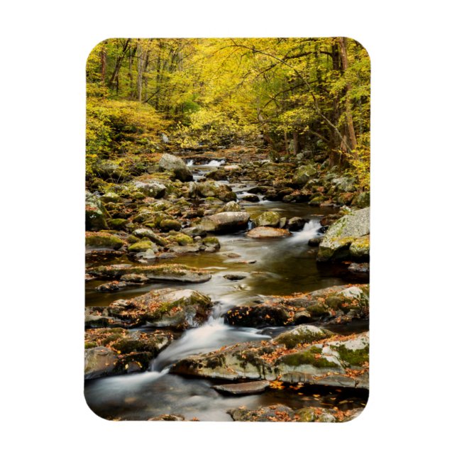 Magnet Flexible L'automne à Big Creek (Vertical)