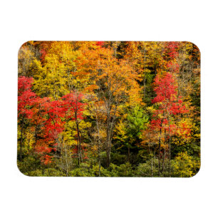 Magnet Flexible L'automne à Sims Pond Caroline du Nord, Blue Ridge
